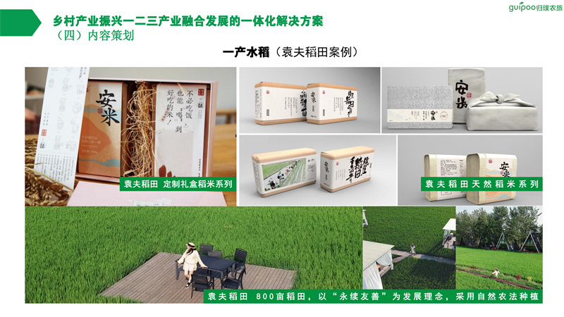 业务：归璞农旅乡村振兴业务介绍（0505）_18.jpg